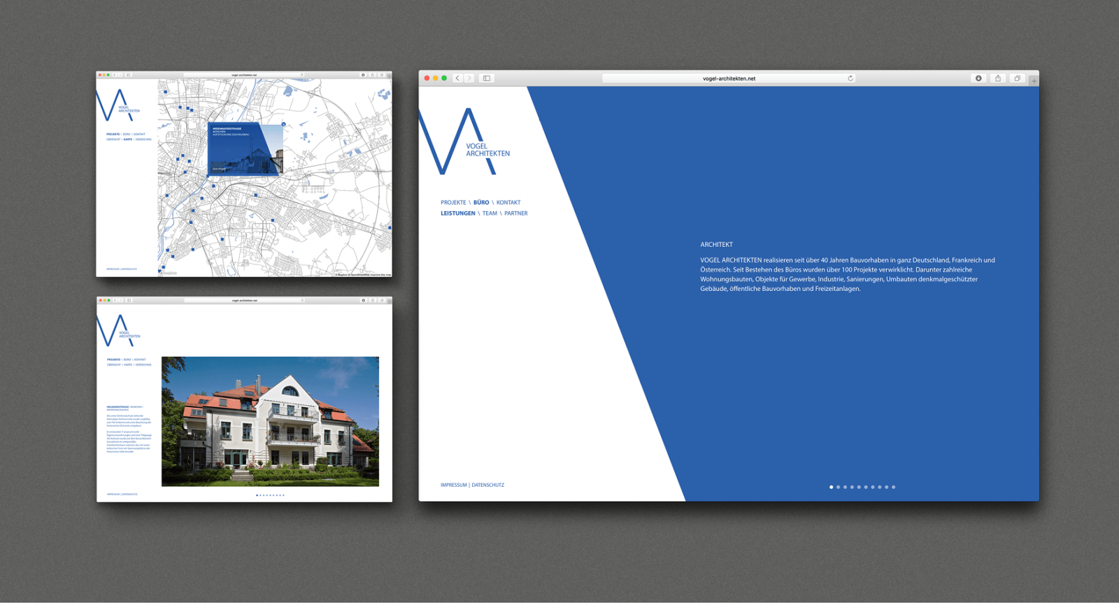 VA Website 2